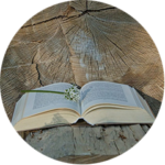 Lektorat Literarische Texte